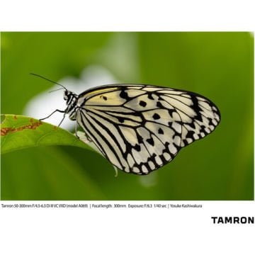 Tamron 50-300mm f/4.5-6.3 Di III VC VXD Lens (Sony E)