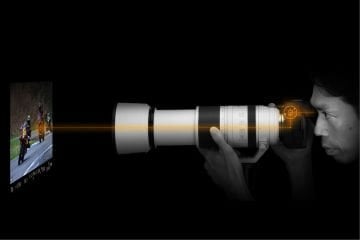 Canon EOS R5 Mark II 24-105mm f/4L IS USM Lens