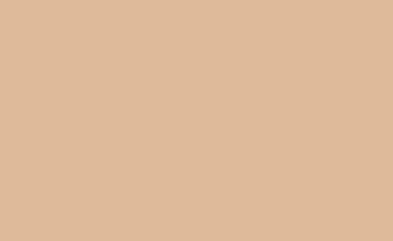 BD Backgrounds 2.72x11m Stüdyo Kağıt Fon (Pongee Fon 121)