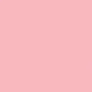 Gdx Kağıt Sonsuz Stüdyo Fon Perde (Coral) 2.70x11 Metre