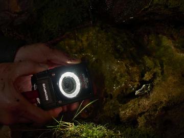 Olympus LG-1 LED Macro Ring Light (TG 1/2/3/4/5/6/7 için)
