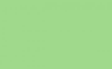 BD Backgrounds 2.72x11m Stüdyo Kağıt Fon (SpringGreen Fon 174)