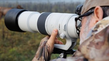 Canon RF 200-800mm f/6.3-9 IS USM Lens