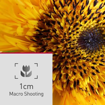 Panasonic Lumix FZ82D Dijital Fotoğraf Makinesi