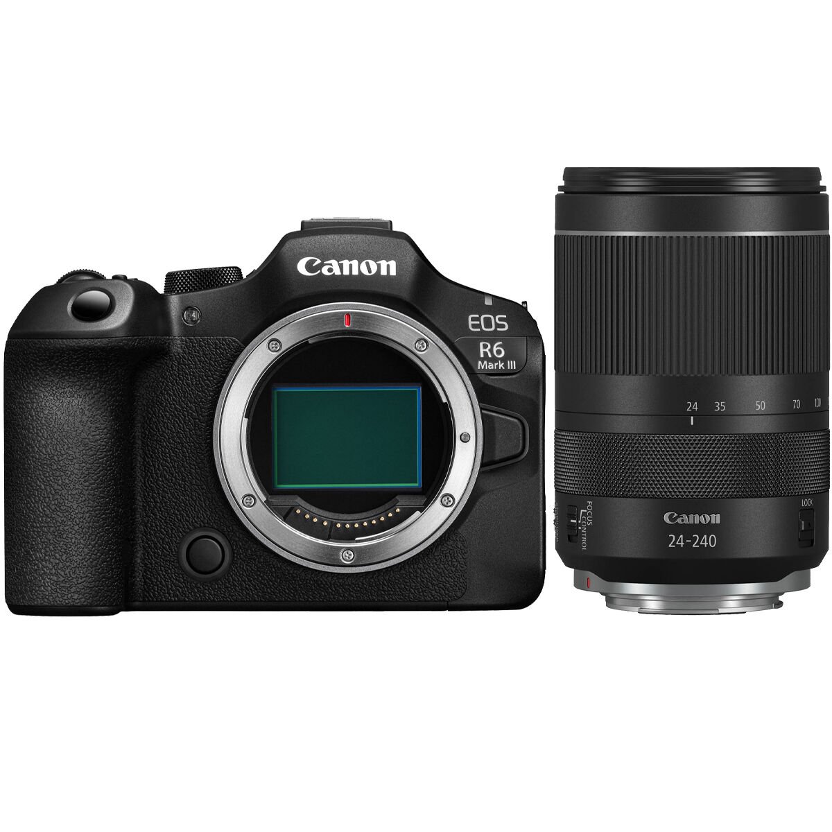 Canon EOS R6 Mark III + Canon RF 24-240mm f/4-6.3 IS USM Lens