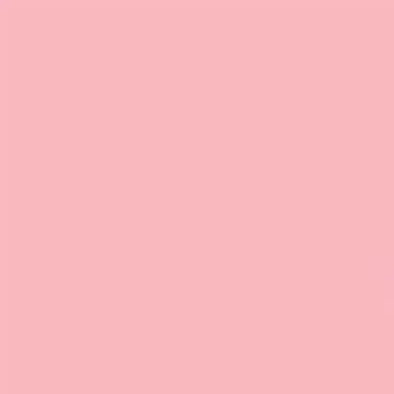 Gdx Seyyar Kağıt Sonsuz Stüdyo Fon Perde (Coral) 2.70x11 Metre