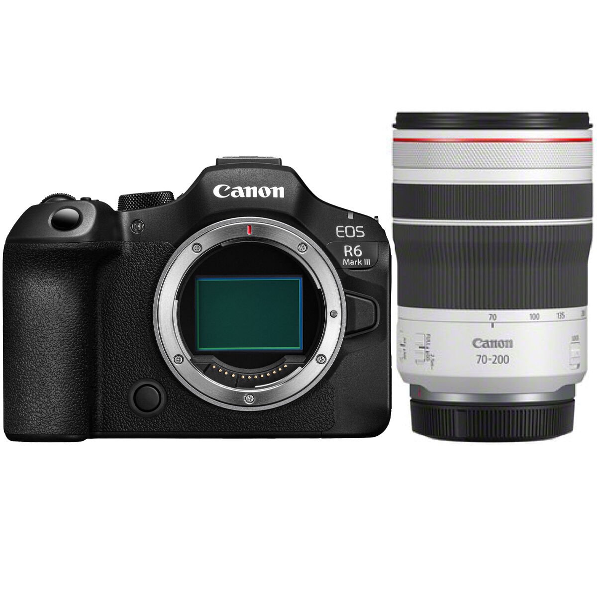 Canon EOS R6 Mark III + Canon RF 70-200mm f/4L IS USM Lens