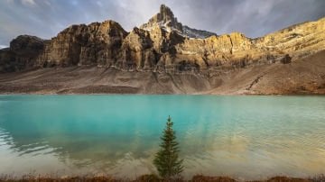 Canon RF 10-20mm f/4 L IS STM Lens