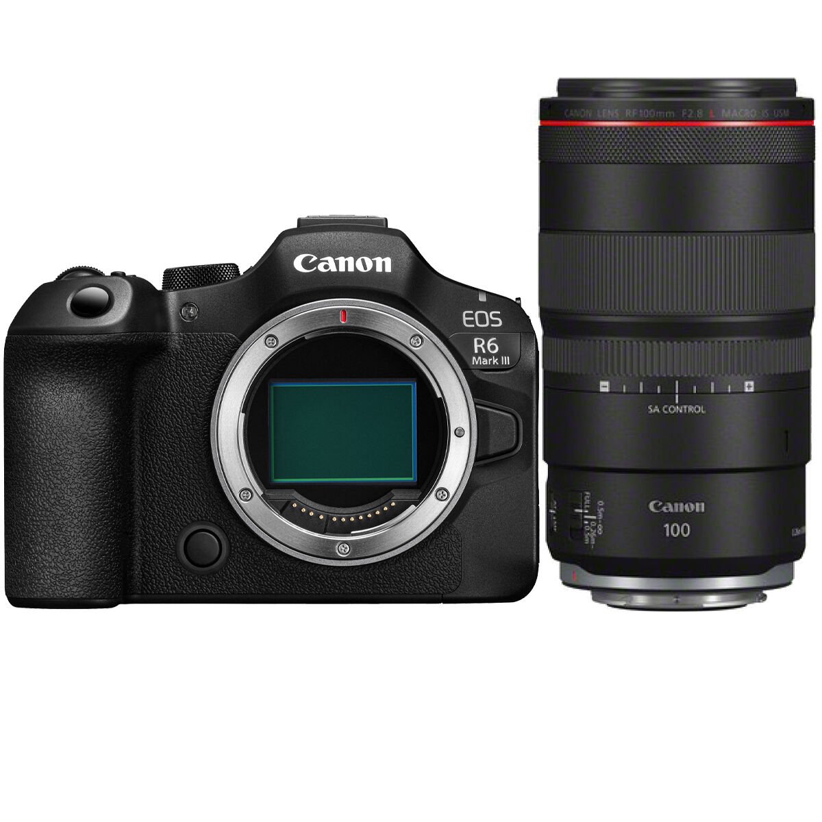 Canon EOS R6 Mark III + Canon RF 100mm f/2.8L IS USM Macro Lens