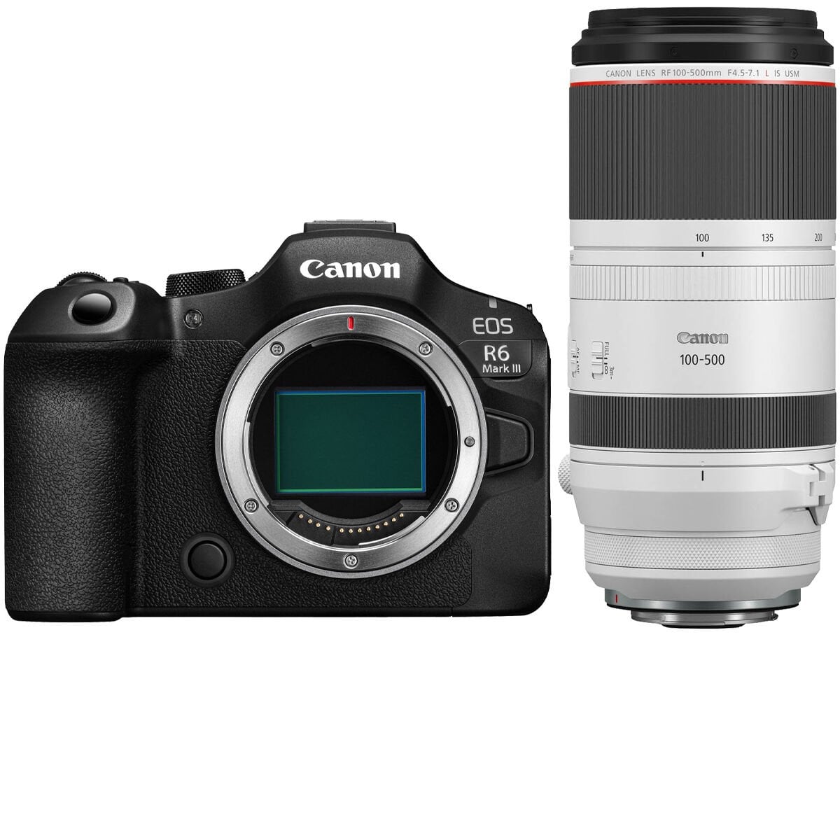 Canon EOS R6 Mark III + Canon RF 100-500mm f/4.5-7.1L IS USM Lens