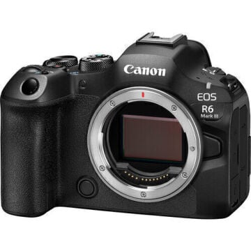 Canon EOS R6 Mark III + Canon RF 200-800mm f/6.3-9 IS USM Lens