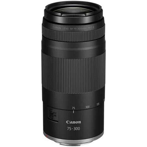 【ジャンク】Canon EF 75-300mm 1:4-5.6 Ⅱ ２本セット キヤノン/迫力の300㎜/Canon EF 75-300mm F4-5.6 Ⅱ EF75-300mm f/4