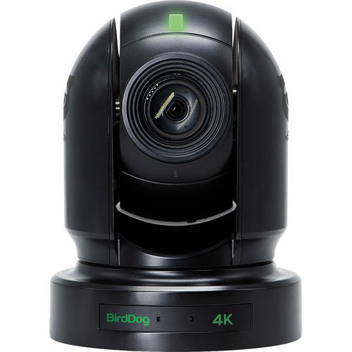 BirdDog Eyes P400 (Black)