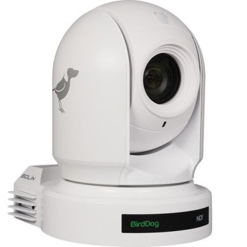 BirdDog Eyes P200、FullNDI対応 PTZカメラ BirdDog Eyes P200 1080p Full NDI PTZ Camera (White) Fiyatı ve