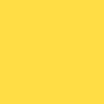 Gdx Seyyar Kağıt Sonsuz Stüdyo Fon Perde (Canary) 2.70x11 Metre
