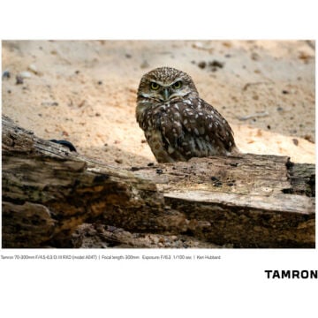Tamron 70-300mm  F/4.5-6.3  DI III RXD Sony E Mount Full Frame Telefoto Lens (A047S)