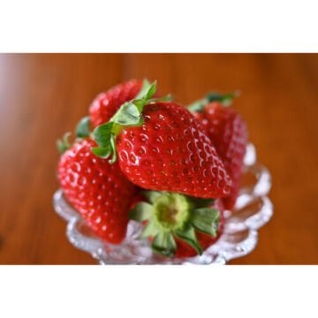 Nikon Z DX 24mm f/1.7 Lens