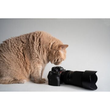 Tamron 50-300mm F/4.5-6.3 DI III VC VXD Sony E Mount Full Frame Telefoto Lens (A69S)