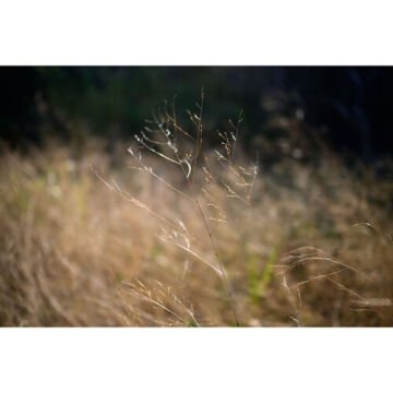 Viltrox AF 25mm f/1.7 Air Z Lens (Nikon Z)