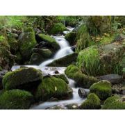 Hoya 58mm Pro ND 200 Filtre (7 2/3 Stop)