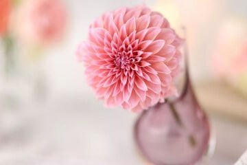 Canon RF 85mm f/1.4 L VCM Lens