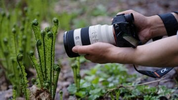 Sony FE 70-200mm f/4 Macro G OSS II Lens