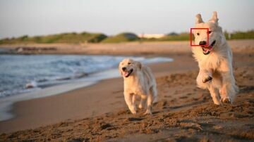 Nikon Zf Body (Gün Batımı Turuncusu)