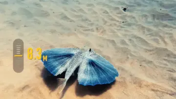 DJI Osmo Action 6 Adventure Combo