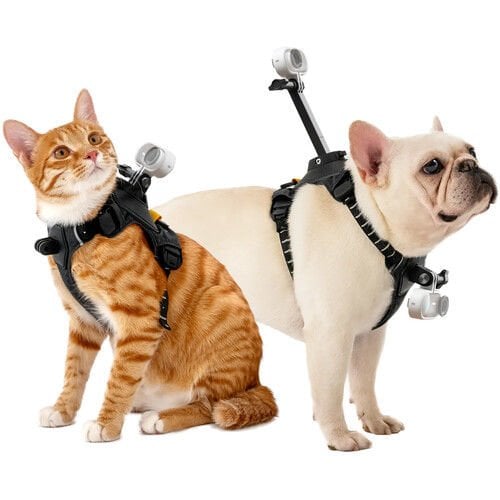 Insta360 Pet Harness Mount (Medium) | Evcil Hayvanlar İçin Orta Boy Kamera Montaj Askısı