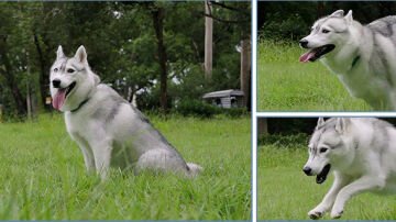 Sirui Aurora 35mm f/1.4 Lens (Sony E)