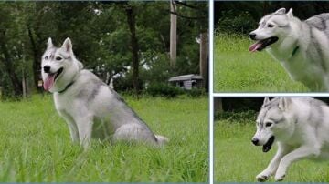 Sirui Aurora 35mm f/1.4 Lens (Nikon Z)