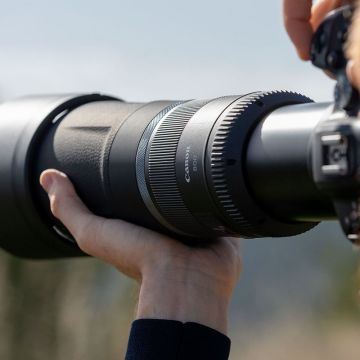 Canon RF 800mm f/11 IS STM Lens