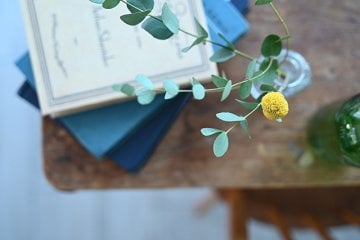 Nikon Z 28-75mm f/2.8 Lens