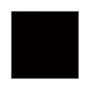 LEE - Filters Big Stopper Glass Filter