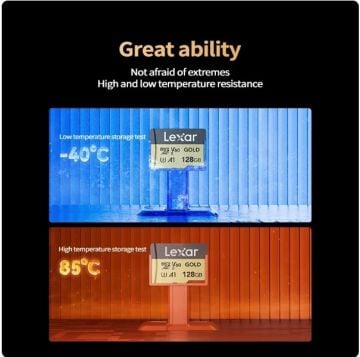 Lexar 256GB Professional GOLD microSDXC UHS-II Hafıza Kartı