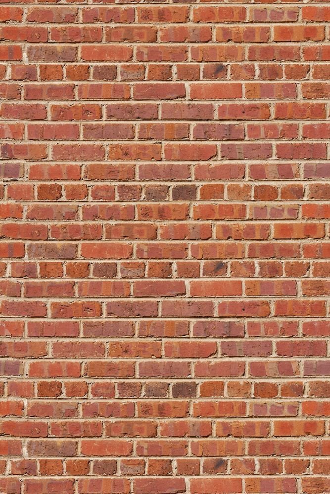 Savage (U.S.A) Stüdyo Fon Red Brick Printed
