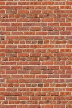 Savage (U.S.A) Stüdyo Fon Red Brick Printed