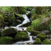 Hoya 58mm Pro ND 1000 Filtre (10 Stop)