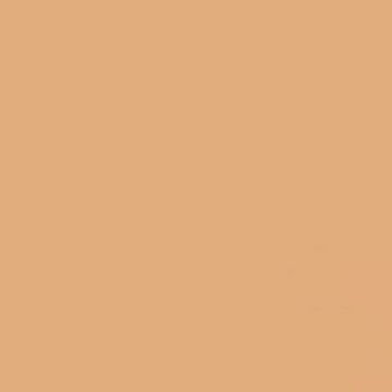 GDX Kağıt Sonsuz Stüdyo Fon Perde (Beige) 2.70x11 Metre