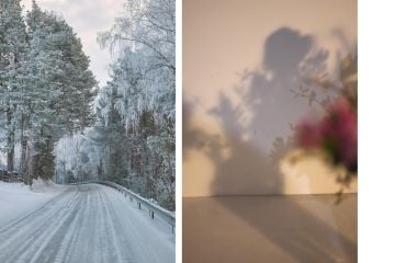 Sigma BF Aynasız Kamera (Siyah)