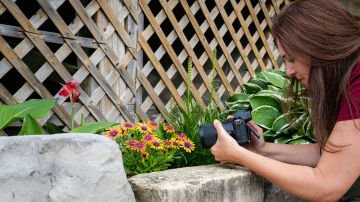 Nikon Z 17-28mm f/2.8 Lens