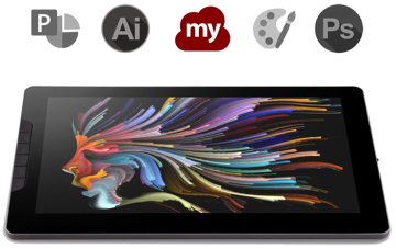 ViewSonic Notas 13.3 inch Profesyonel Grafik Tablet