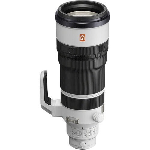 Sony FE 100-400mm f/4.5 GM OSS Lens