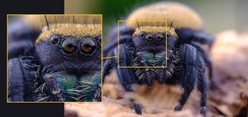 Laowa 65mm f/2.8 2X Ultra-Macro Lens (Fuji X Uyumlu)