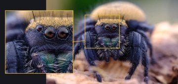 Laowa 65mm f/2.8 2X Ultra-Macro (Sony E Uyumlu)