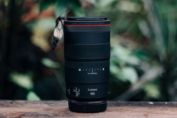 Canon RF 100mm f/2.8L Macro IS USM Lens