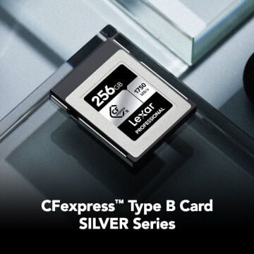 Lexar 256GB Professional CFexpress Silver Type B Hafıza Kartı