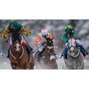 Sony FE 600mm f/4 GM OSS Lens